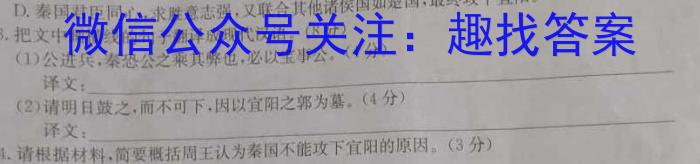 安徽省C20教育联盟2023年中考最后典题卷(二)语文