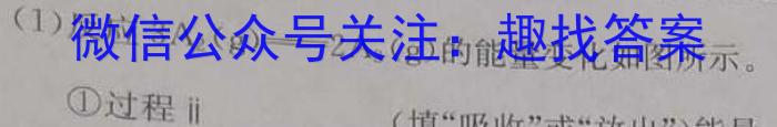 山西省太原37中2022-2023学年七年级阶段练习（三）化学