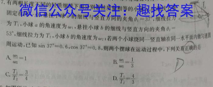 江西省2024届八年级《学业测评》分段训练（八）l物理