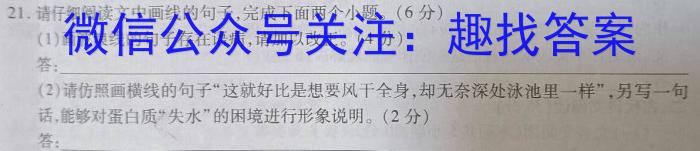 2023年全国普通高等学校统一招生考试 考前检测试卷(新高考)(一)1语文