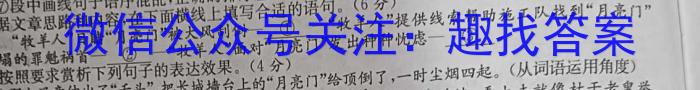 河南省2022~2023年度下学年高二年级第三次联考(23-500B)语文