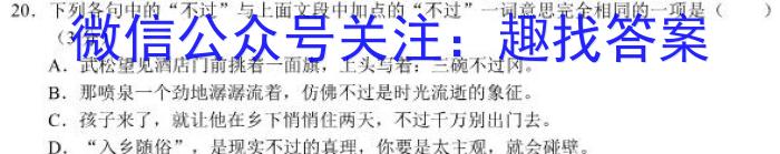 安师联盟 2023年中考安心卷语文