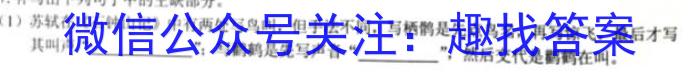 河南省鹤壁市高中2024-2023学年高二(下)期末考试语文