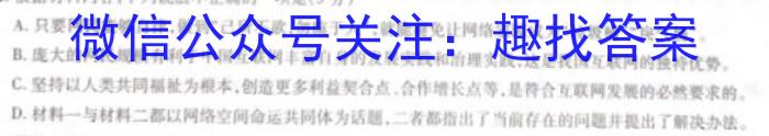 九师联盟 2022-2023学年高三5月高考仿真模拟(新高考)G语文