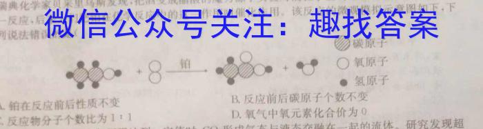 2023年全国乙卷数学（文科）高考真题文档版（无答案）化学