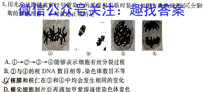 湘豫名校联考 2022-2023学年高一(下)5月阶段性考试生物