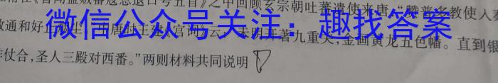 安徽省2022-2023学年度高二年级下学期期末学情检测(23101B)政治~