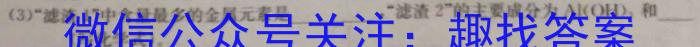 安徽省蒙城县2024-2023学年度八年级第二学期义务教育教学质量检测化学