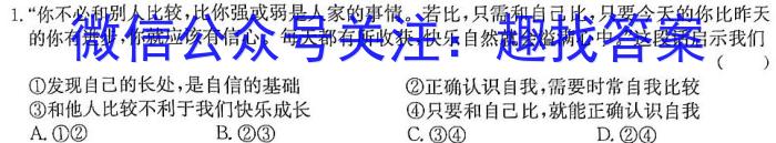 2023年陕西省初中学业水平考试信息卷（C）Al地理