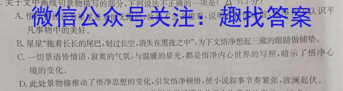 河南省洛阳创新发展联盟2024届高三阶段性检测(23-583C)语文