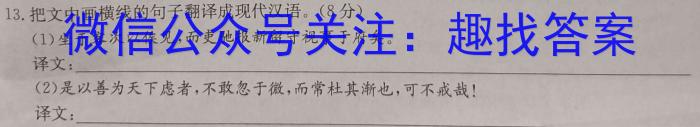 天一大联考·皖豫名校联盟2022-2023学年(下)高一年级阶段性测试(四)语文