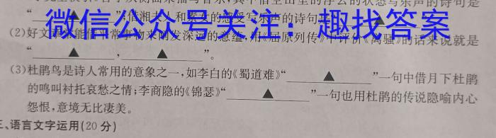 安徽省2023年中考导航总复*三轮模拟（二）语文