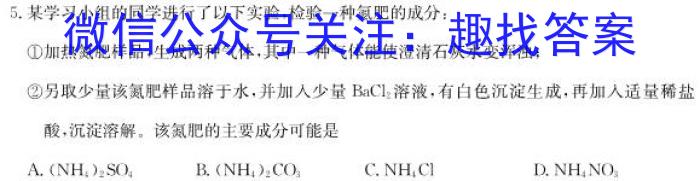 安徽省 十校联考 2022-2023学年(下)八年级期末检测化学
