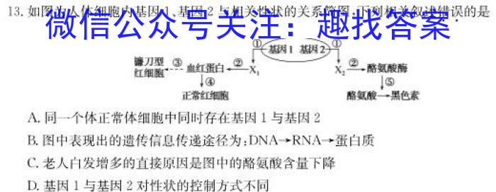 江西省2025届七年级《学业测评》分段训练（八）生物