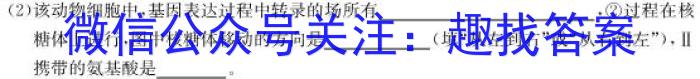 四川省德阳市高中2022级第一学年教学质量监测考试生物