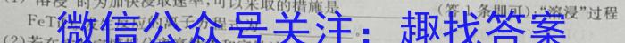 2023年陕西省初中学业水平考试·信息卷B化学