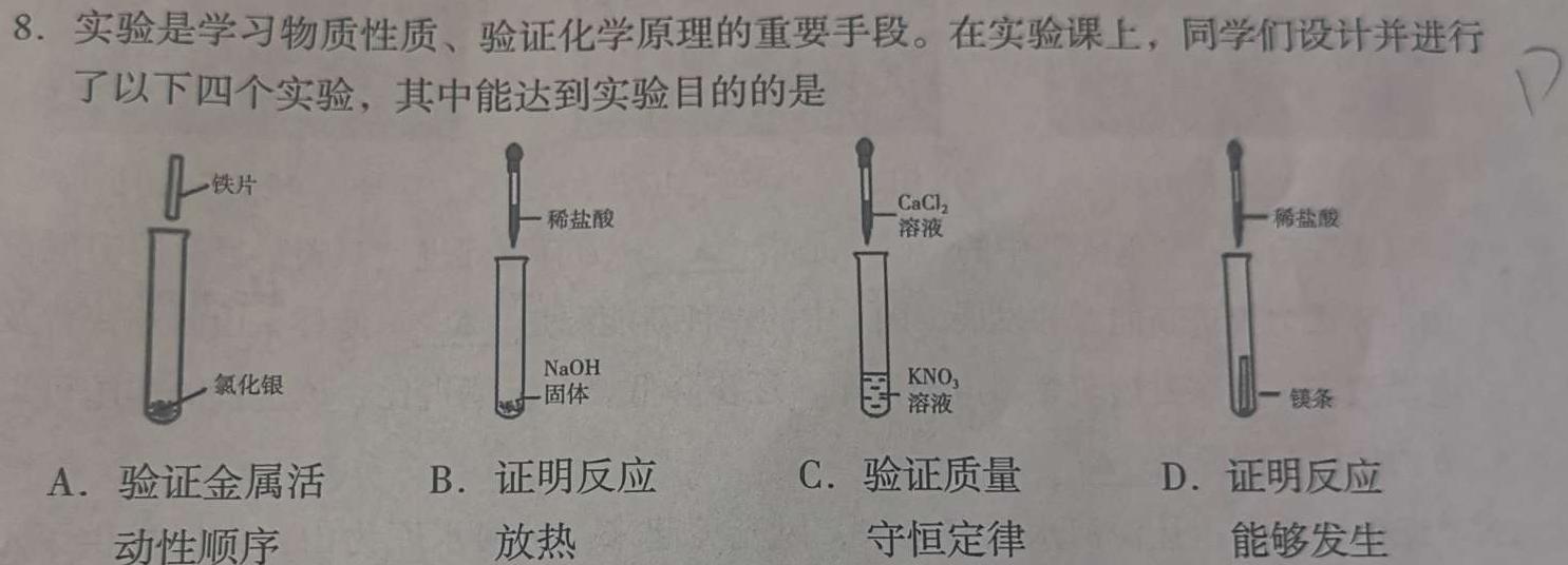 2023届陕西省第十一次模拟考试化学