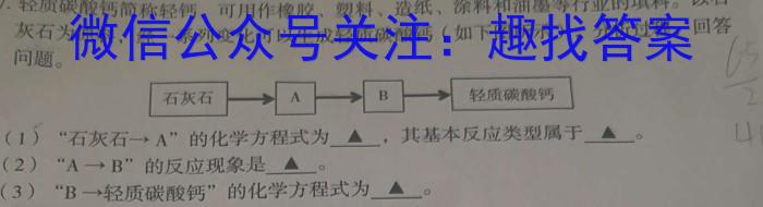 陕西学林教育 2022~2023学年度第二学期八年级期末调研试题(卷)化学