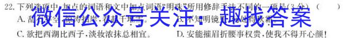 2022-2023学年安徽省九年级教学质量检测（八）语文