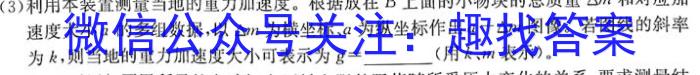 天一大联考 河北省沧州市高一年级2022-2023学年(下)教学质量监测.物理