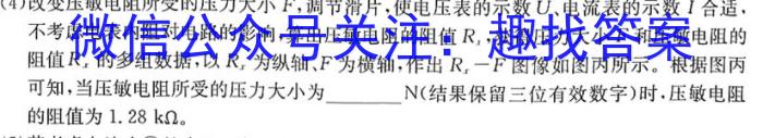 天一大联考·皖豫名校联盟2022-2023学年(下)高二年级阶段性测试(四)f物理