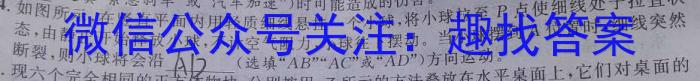 咸宁市2022-2023学年度下学期高一年级高中期末考试物理`