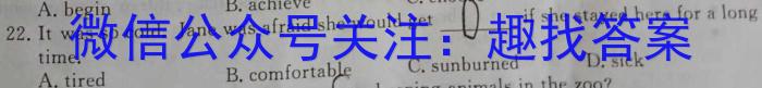 2023年高考真题（新高考I卷）英语