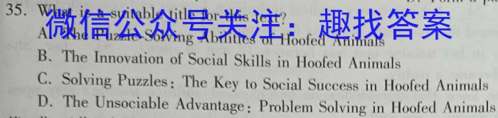 龙岩市2022-2023学年第二学期期末高一教学质量检查英语