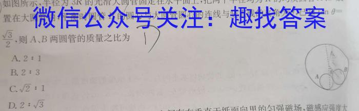 2023届河南省高一年级考试5月联考(23-484A)物理`