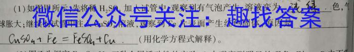 河北省2024-2023学年度八年级第二学期素质调研四化学