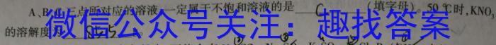 山西省2024-2023学年八年级下学期期末质量监测（23-CZ271b）化学