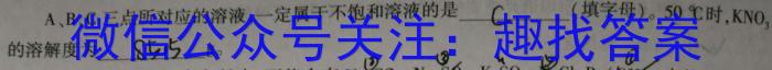 天一大联考 2023年九年级考前定位考试化学