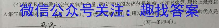 安徽省C20教育联盟2023年中考最后典题卷(二)化学