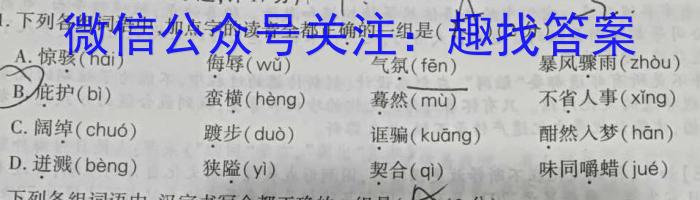 新疆省兵团地州学校2022~2023学年高二第二学期期末联考(23-518B)语文