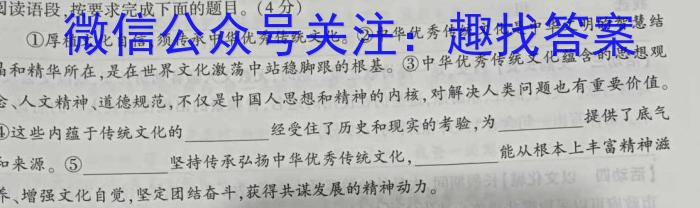 2023届全国百万联考老高考高三5月联考(6002C)语文