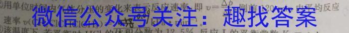 2022-2023学年陇南市九年级联考模拟卷(二)2化学