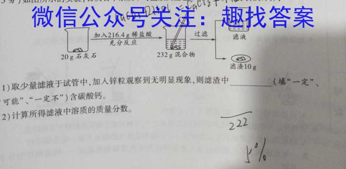 江西省2025届七年级《学业测评》分段训练（八）化学