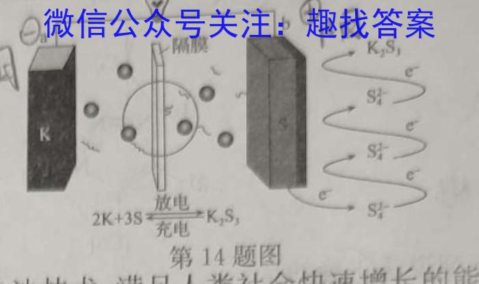 一步之遥 2023年河北省初中毕业生升学文化课考试模拟考试(十四)化学