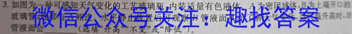 陕西省汉中市2022~2023学年度高二第二学期期末校际联考l物理