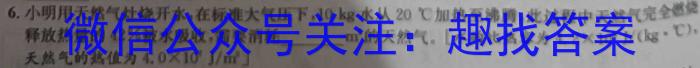 2023年全国甲卷理综化学高考真题文档版（含答案）l物理
