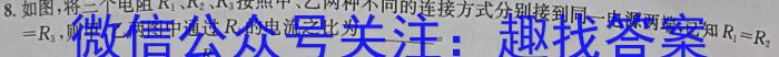 河北省2023届中考考前抢分卷(CCZX A HEB)物理`