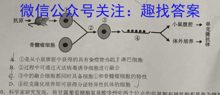 河北省2022-2023学年高二下学期期末调研考试(23-558B)生物