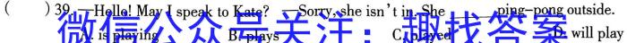 2023年山西省中考信息冲刺卷·压轴与预测(二)英语