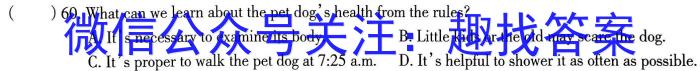 2023年高三学业质量检测 新高考模拟(一)英语
