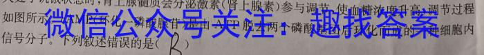 安徽省2022-2023学年度八年级第二学期期末质量检测(23-CZ226b)生物