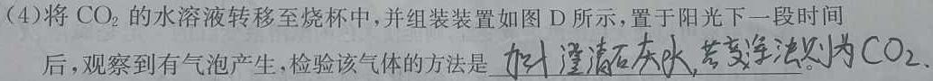 河池市2023年春季学期高二年级期末教学质量检测化学