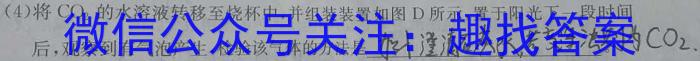 2023年陕西省初中学业水平考试信心提升卷化学