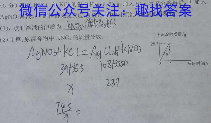 山西省2023年九年级教学质量监测卷（6月）化学