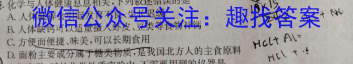 2023年山西省初中学业水平考试 定心卷化学