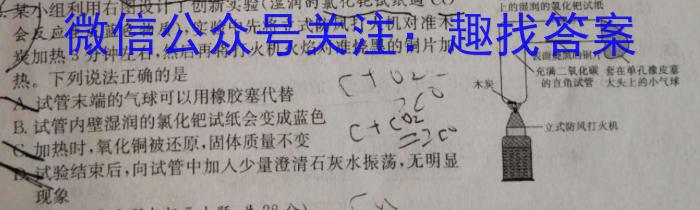 湖南省2023届高三一起考大联考(压轴卷)化学